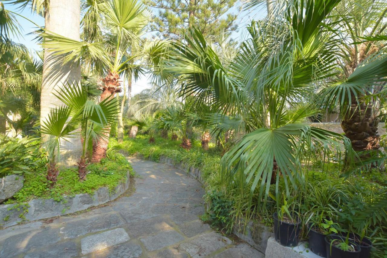 B&B Villa Regine Forio  Ngoại thất bức ảnh
